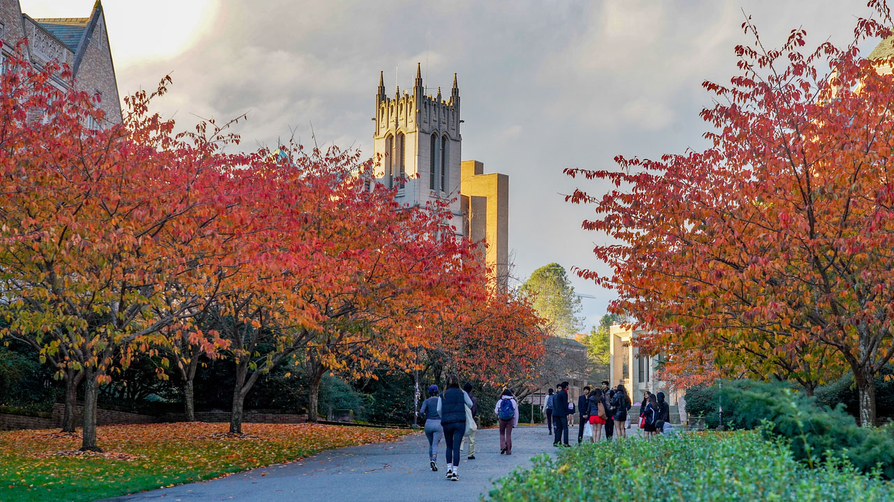 People walk under vibrant fall trees on the UW campus.