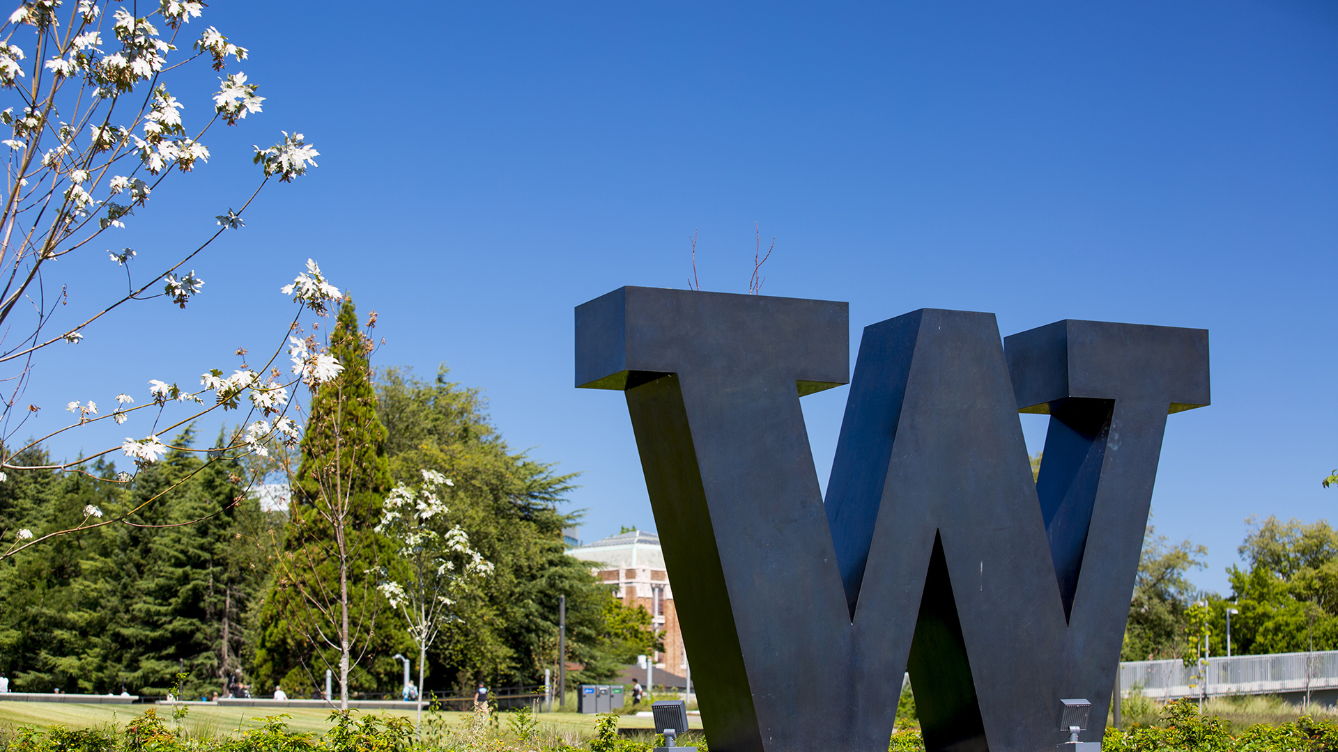 The bronze W sculpture on campus on a sunny day.