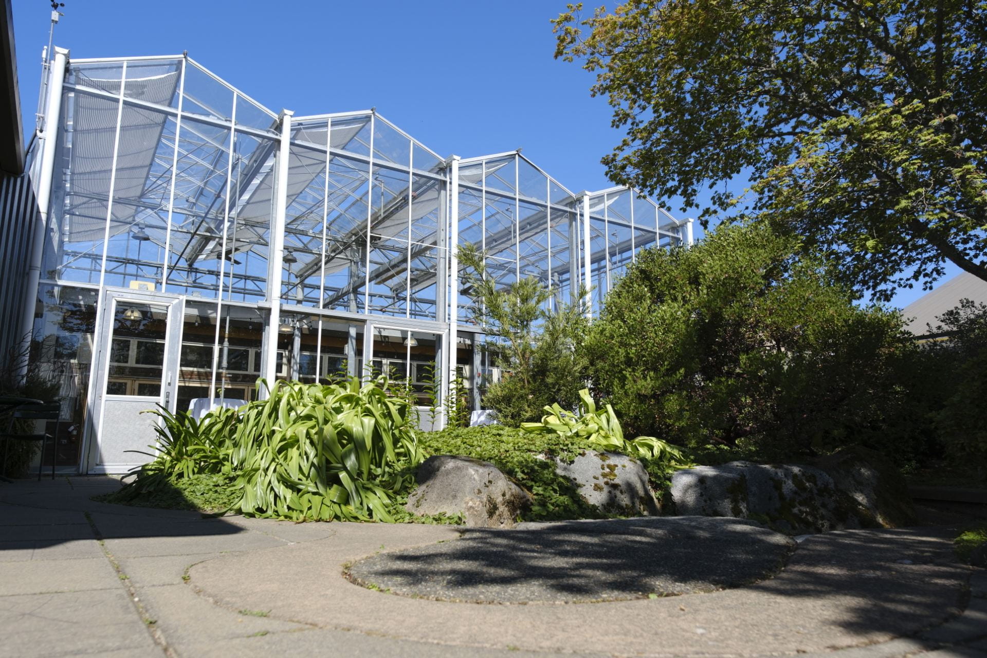 The Center for Urban Horticulture on a sunny day.