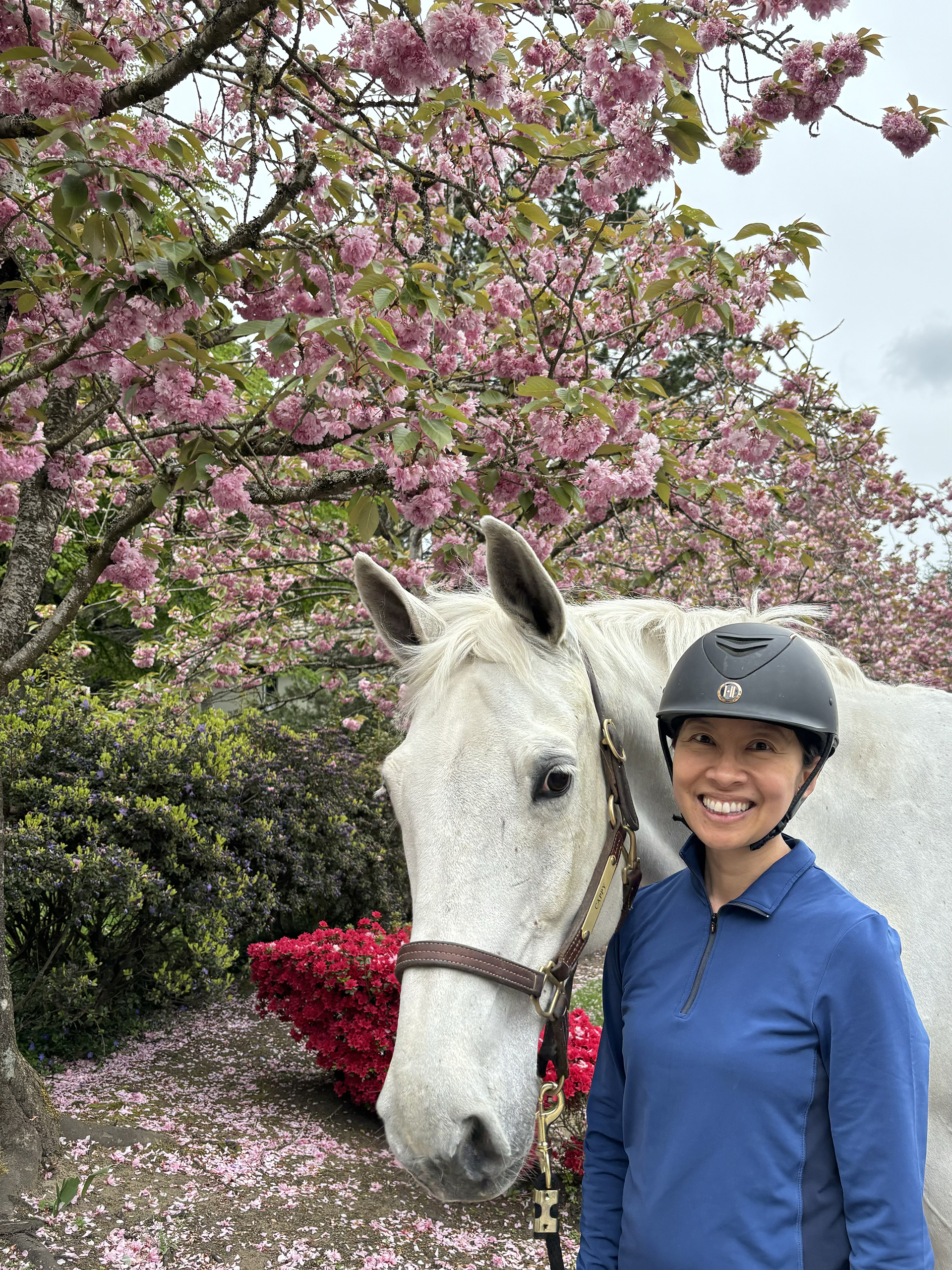 Dr. Lin, wearing a helmet, stands next to a white horse under a blooming cherry tree.