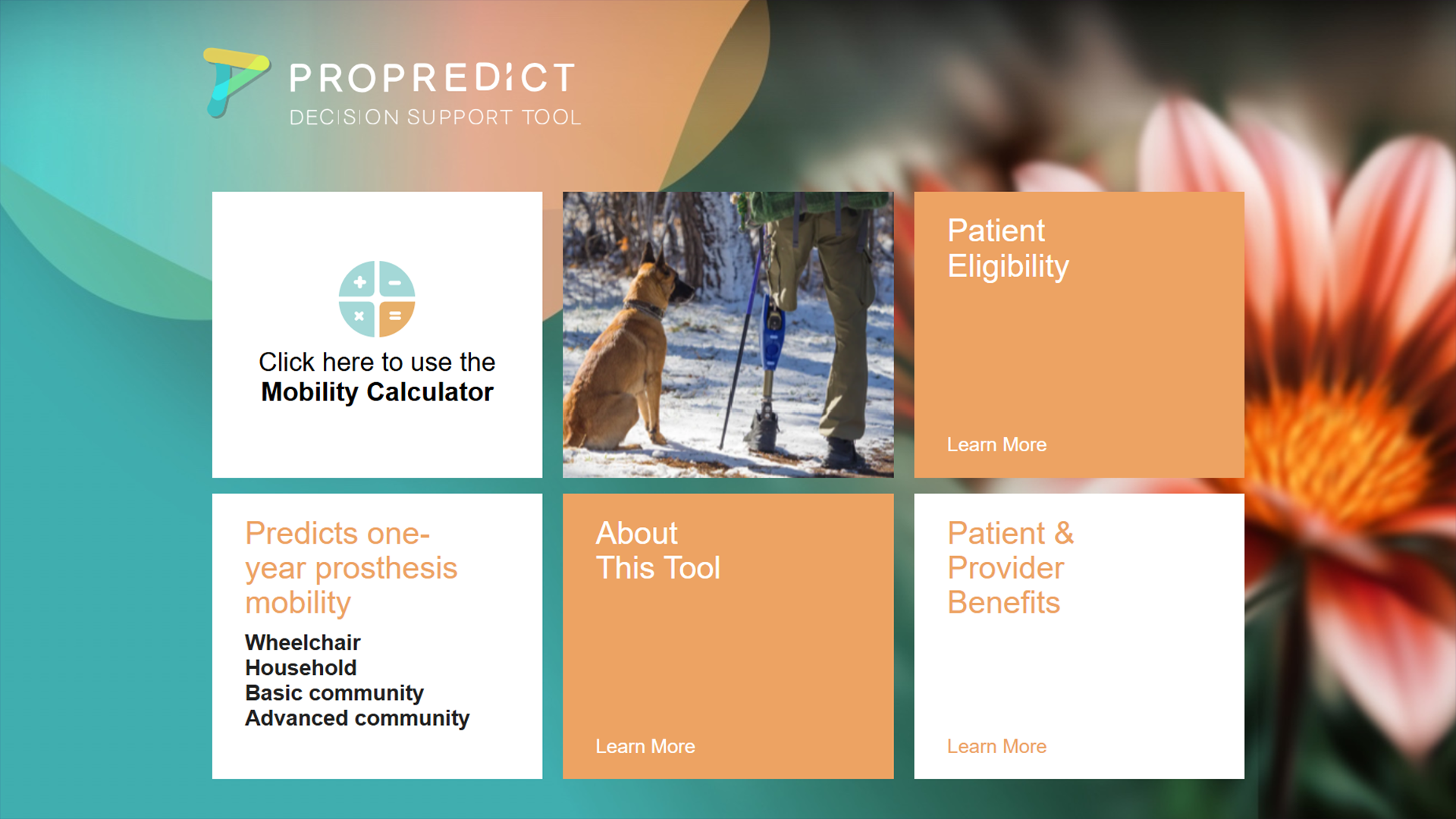 Screenshot of the PROPREDICT Decision Support Tool interface showing input fields for patient data and predictive outcome options.