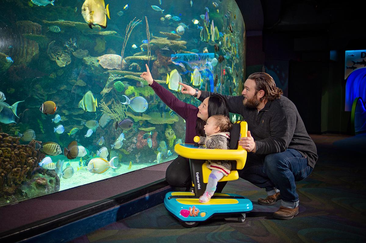 Parents point out fish in an aquarium to their child, a toddle sitting in an Explorer, a specially modified toy car for babies with mobility challenges.