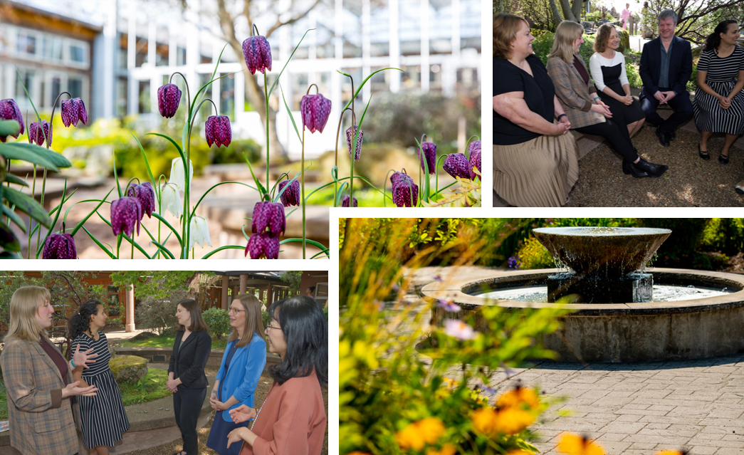 2 images of flowers and 2 images of professors talking