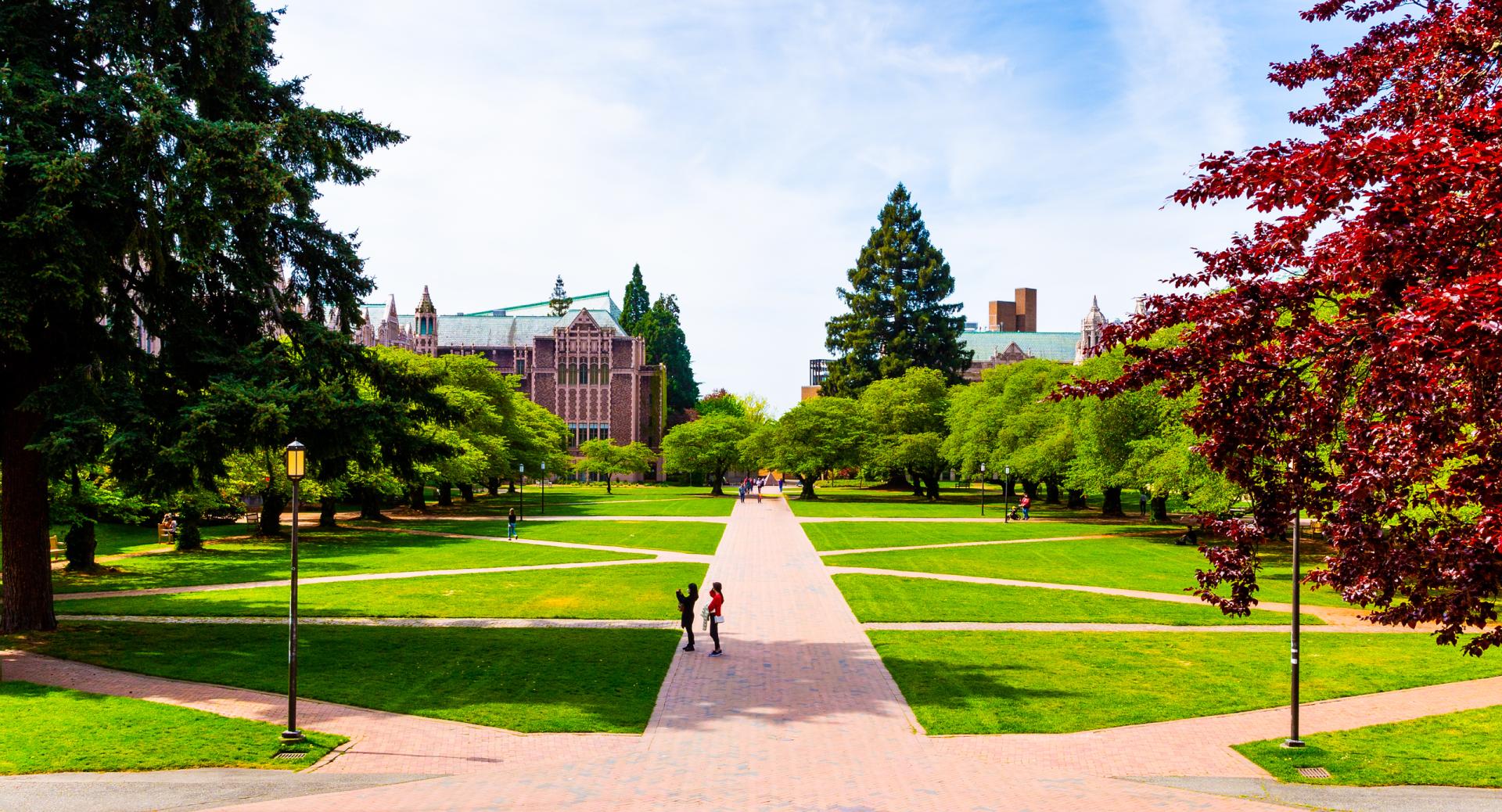 UW Quad during Spring