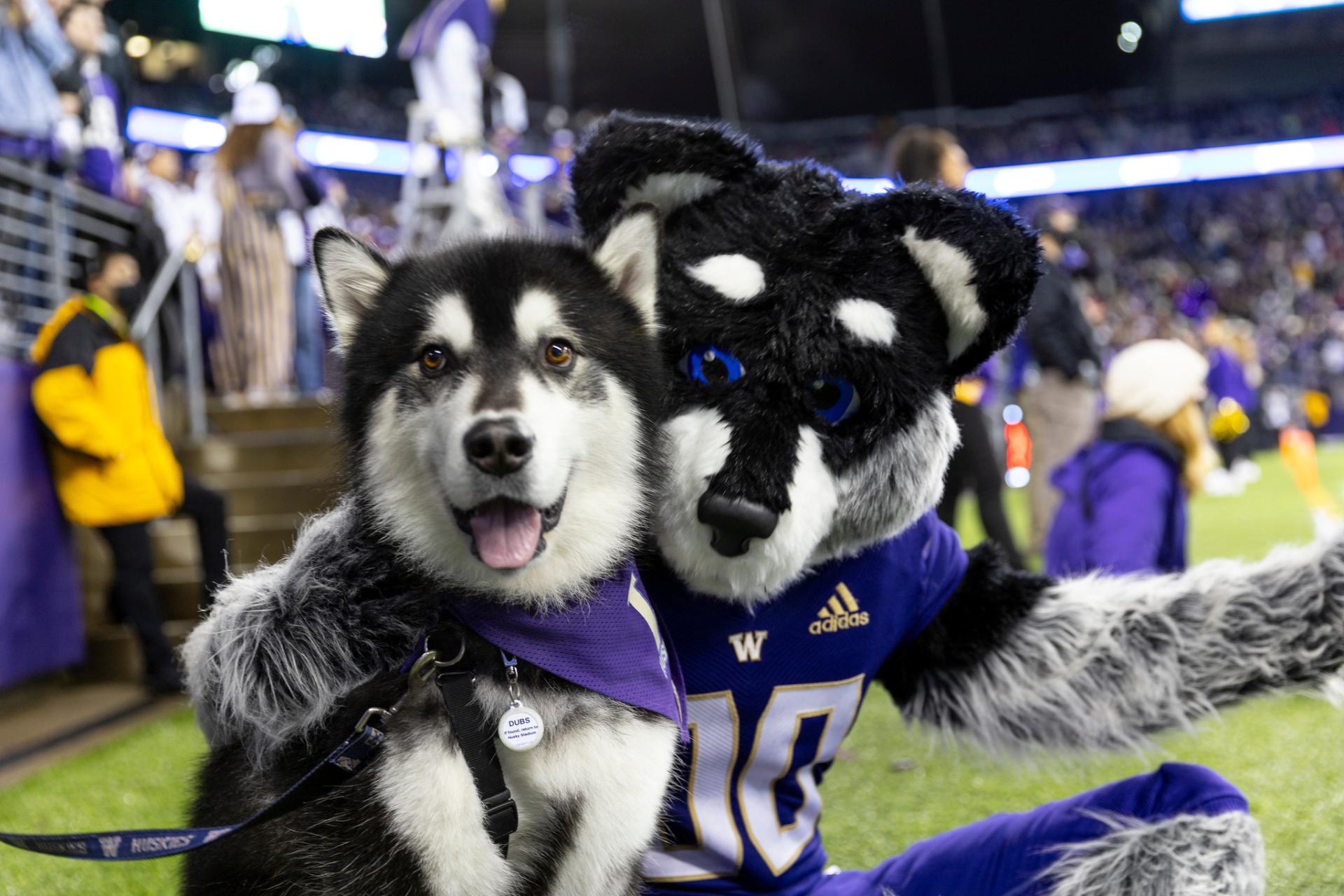 Dubs posing with university mascot.