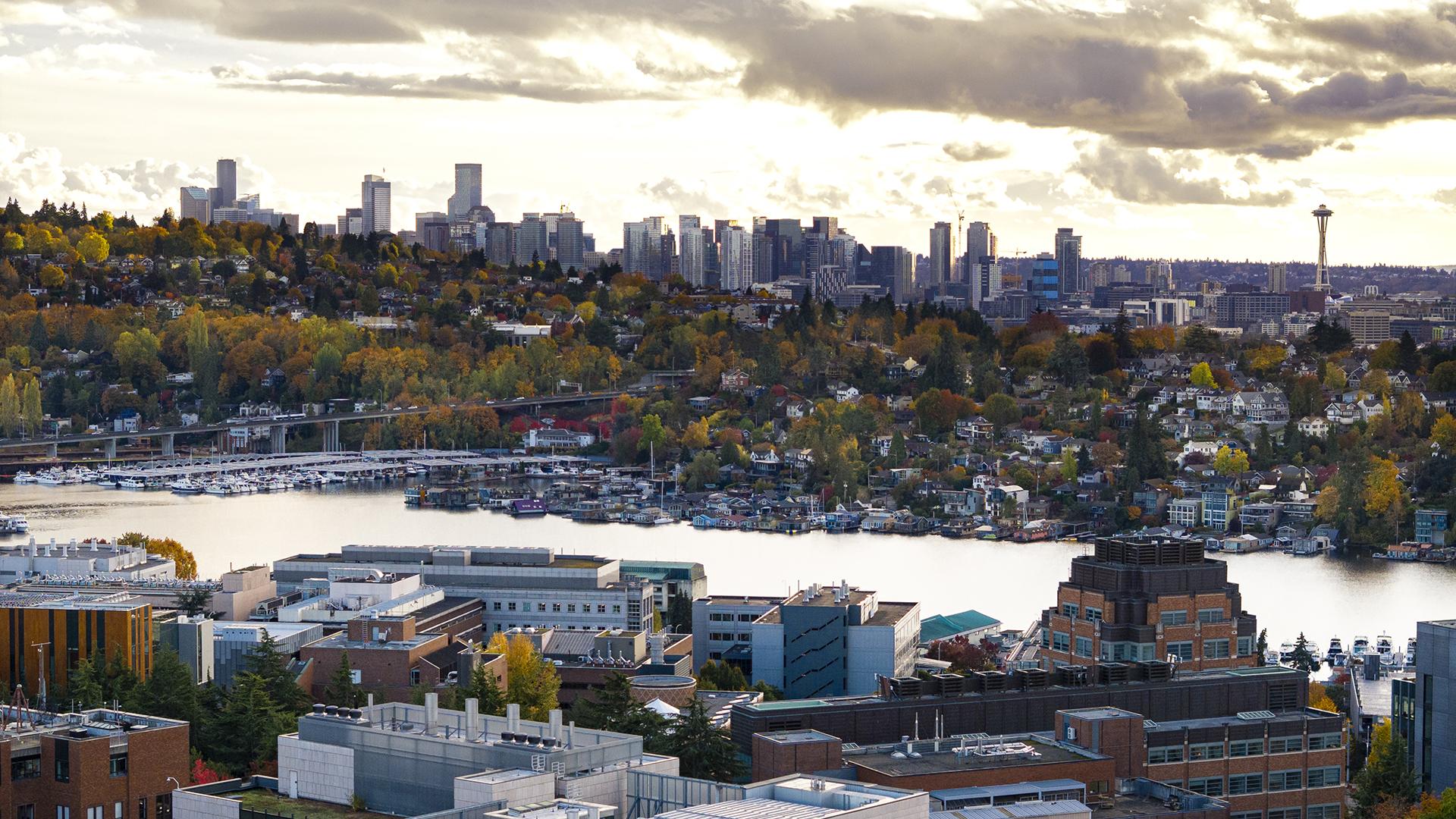 The skyline of the University of Washington campus and downtown Seattle under a silver sky. 