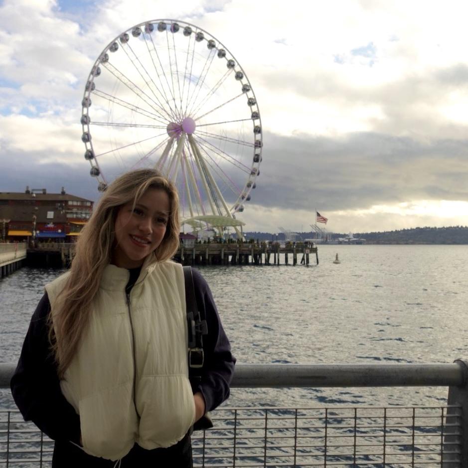 A woman stands by the water, with a large Ferris wheel in the background. 