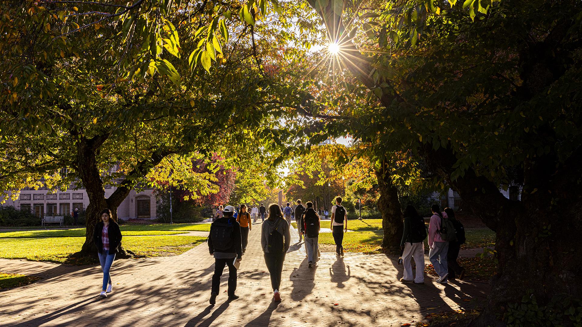 People walked under fall leaves with a low sun shining through the trees.