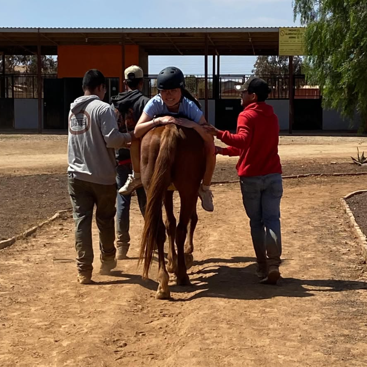 A rider in a helmet holds onto a horse as several men guide the horse.